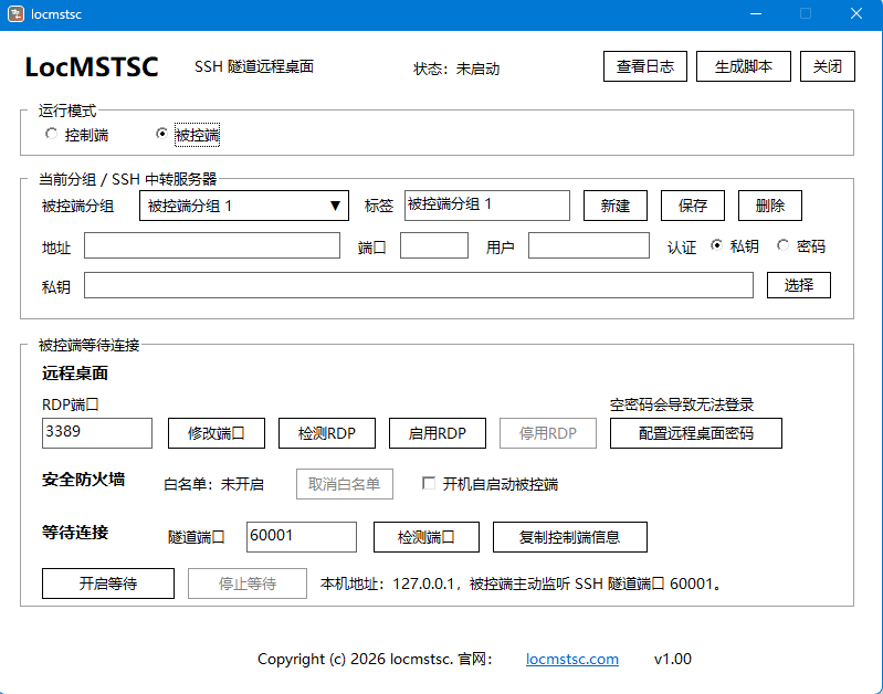 LocMSTSC 被控端真实面板截图